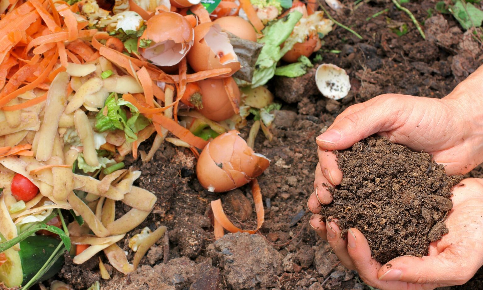 Primer paso para instalar una planta de tratamiento de biorresiduos en ...